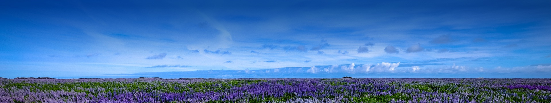 马鞍山东阳山陵园